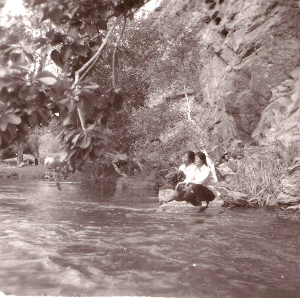 a87.jpg